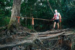 BIB: 
                            <button type="button" onclick="openModal(27323900)" class="btn btn-primary btn-sm float-right btn-popup" data-toggle="modal" data-target=".modal-high-quality">
                        <i class="fas fa-shopping-cart"></i> Add to Cart
                    </button>
                                            <button type="button" onclick="isThisMe(27323900, true)" class="btn btn-success btn-sm float-right btn-popup btn-isme hidden" data-toggle="tooltip" data-placement="bottom" title="นี่คือรูปของคุณใช่ไหม คลิกที่นี่เพื่อเอาเข้าอัลบั้ม">
                        <i class="fas fa-plus"></i> Add to album
                    </button>
                    <button type="button" onclick="isThisMe(27323900, false)" class="btn btn-warning btn-sm float-right btn-popup btn-isnotme hidden">
                        <i class="fas fa-ban"></i> Remove from album
                    </button>